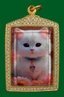 【正牌】泰國皇室御用白衣法師 阿贊喬師傅【招財金貓】Locket  連意大利金鑽防水殼(No.30526)