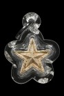 【正牌】龍婆拉架大師 2564 一期 {速馬哈立}幸運星(白色)配戴型 連閃片透明防水殼(No.29229)