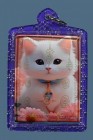 【正牌】泰國皇室御用白衣法師 阿贊喬師傅【招財金貓】Locket  連閃紫色邊防水殼(No.29741)